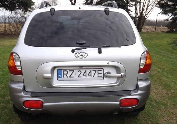 Hyundai Santa Fe cena 14700 przebieg: 292125, rok produkcji 2003 z Rzeszów małe 137